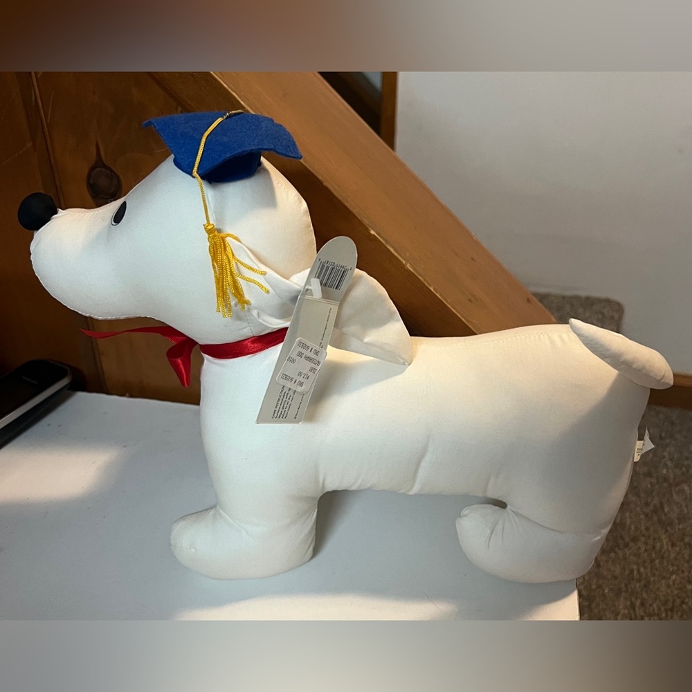 Graduation Designing Dog